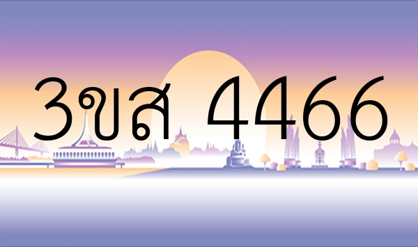 3ขส 4466